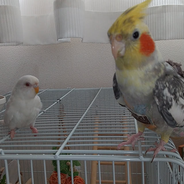 junさんの実例写真