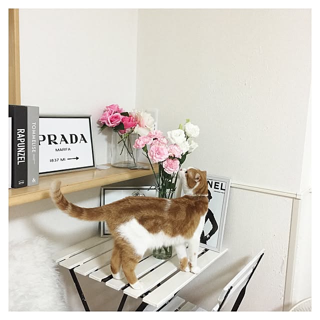 chiroさんの実例写真