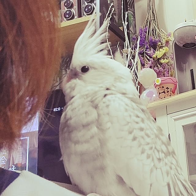 ANTENNAさんの実例写真