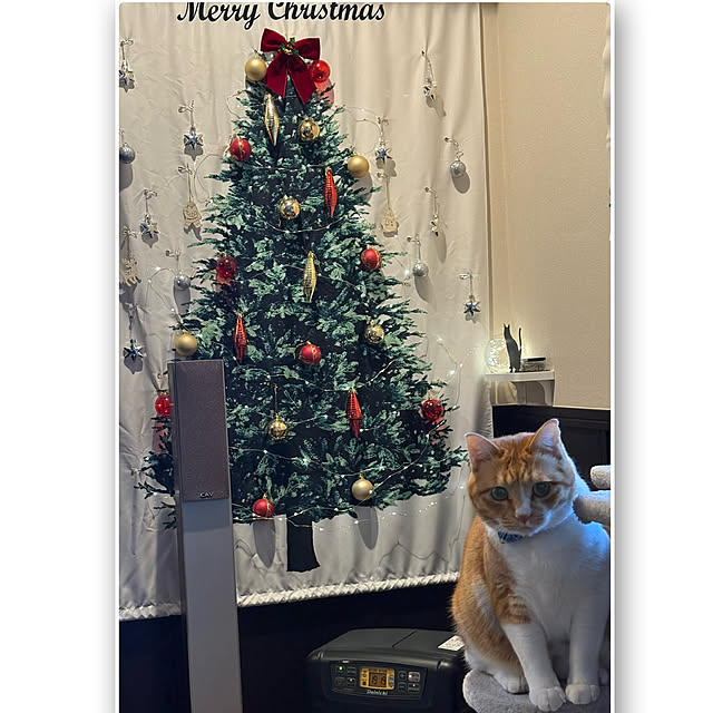 shi622さんの実例写真