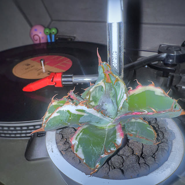 floydさんの実例写真