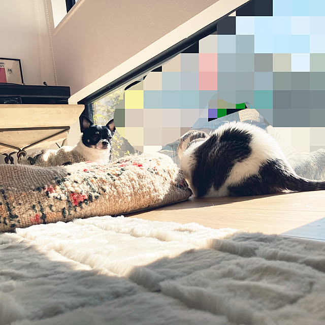 mmocanさんの実例写真