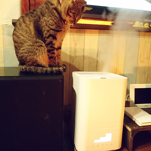 meguさんの実例写真