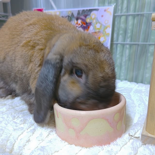 mariaさんの部屋