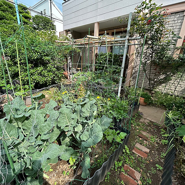 botanさんの部屋