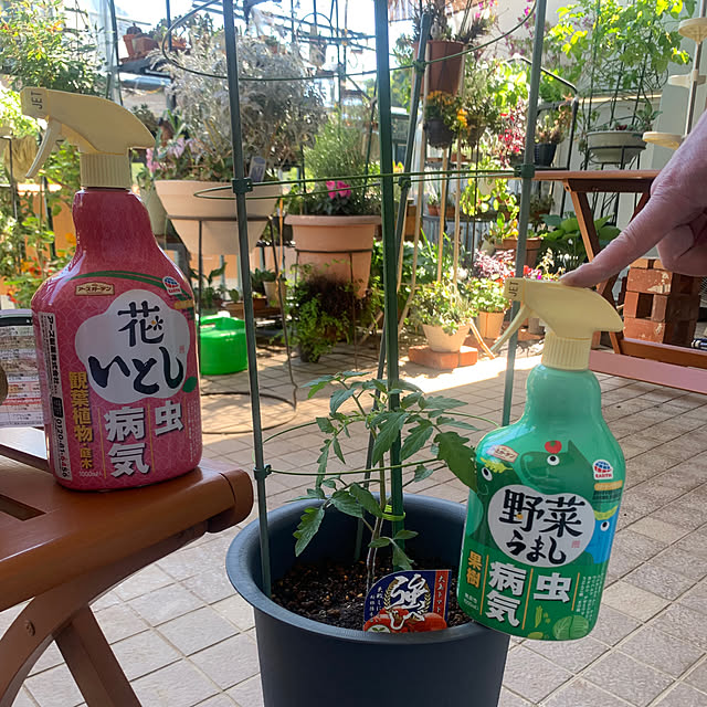 Aqettyさんの部屋