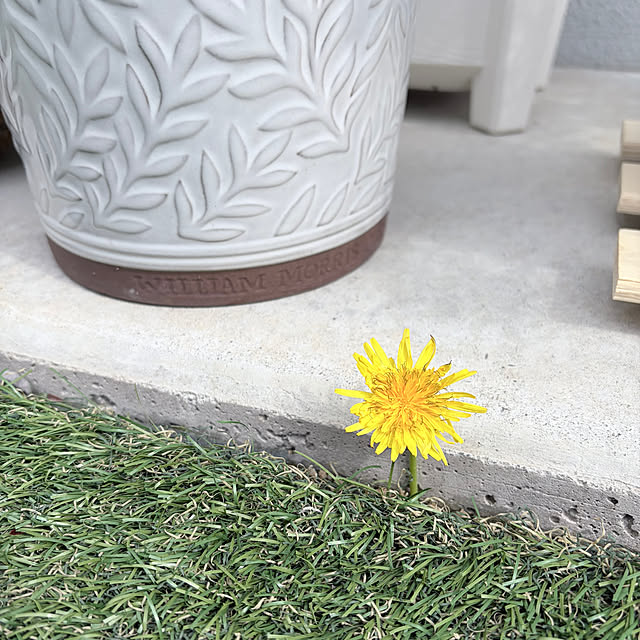 chipsさんの部屋