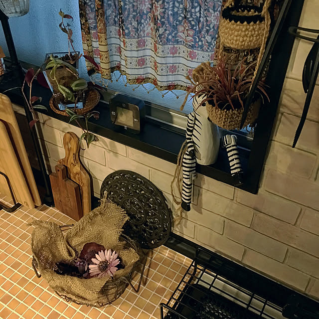 cocotaiさんの実例写真