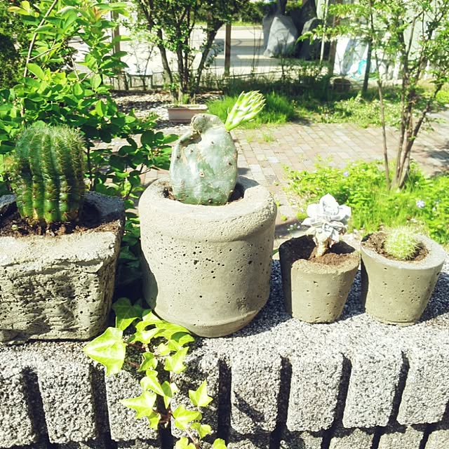 oliveさんの実例写真
