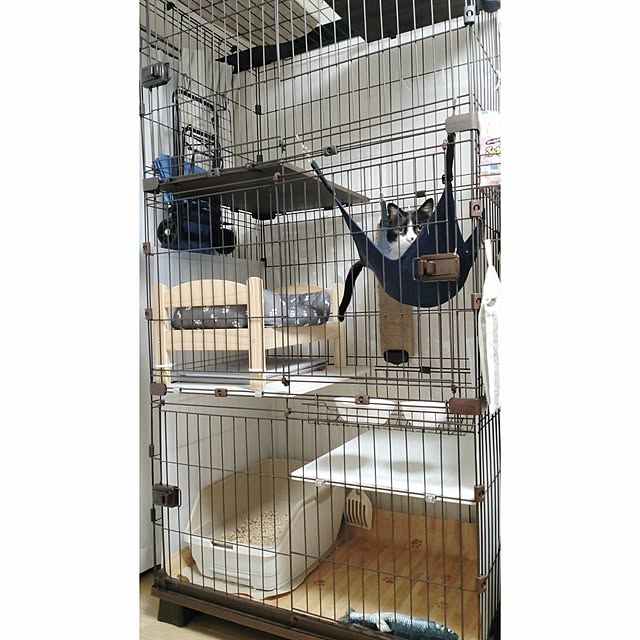 coooperさんの実例写真