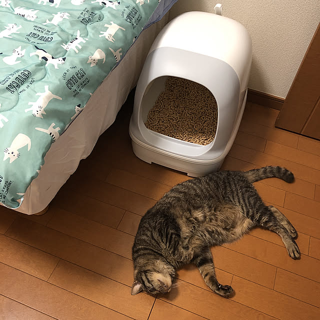 akinao2309さんの実例写真