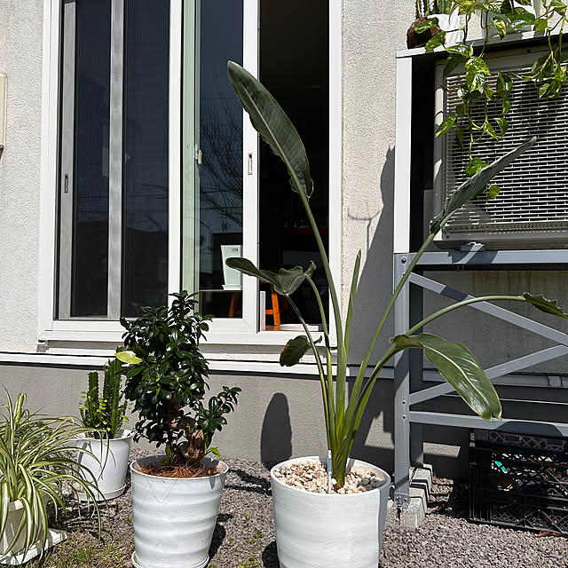 hanahana1444さんの部屋