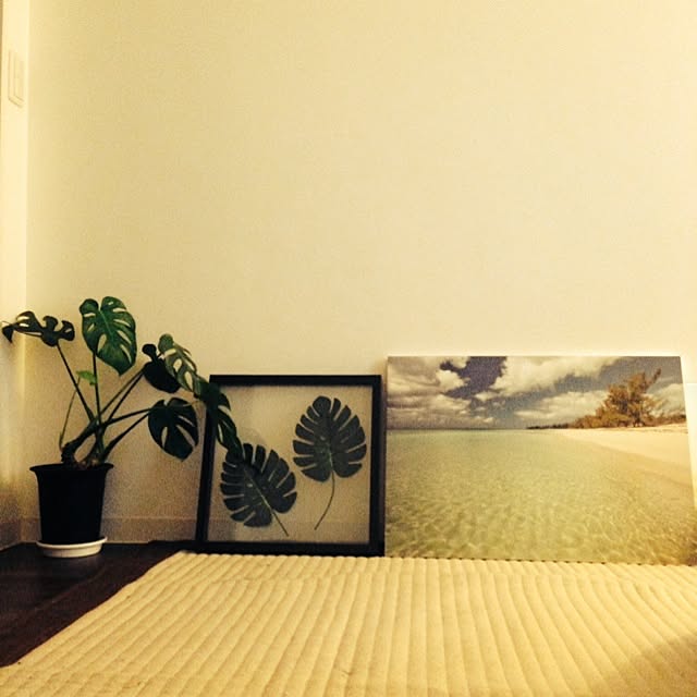 Futoshiさんの実例写真