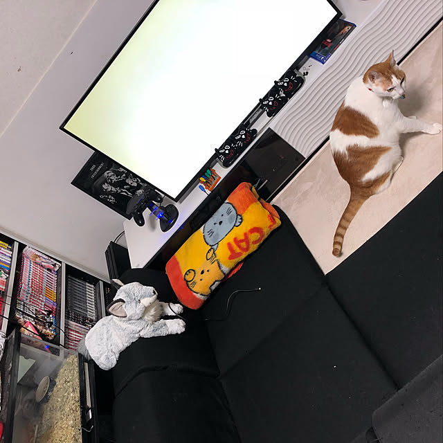 rouさんの実例写真