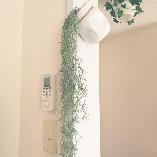 TikoRoomさんの実例写真