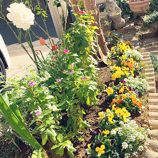 KYONさんの実例写真