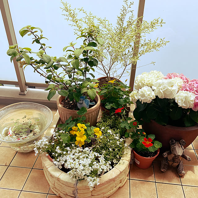 aki00016さんの実例写真