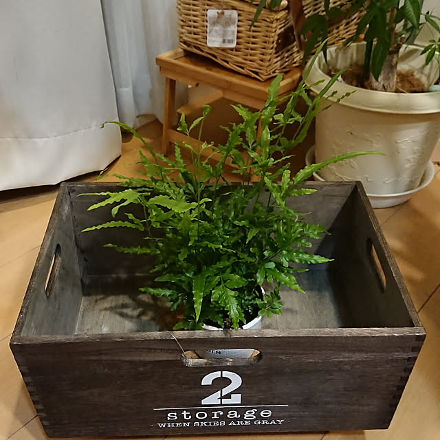 renrinmamaさんの実例写真