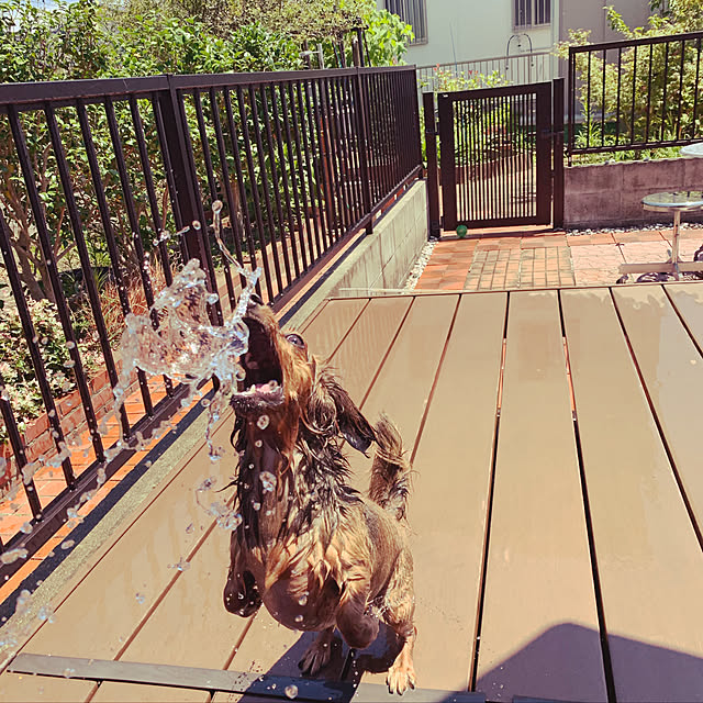 maronさんの実例写真