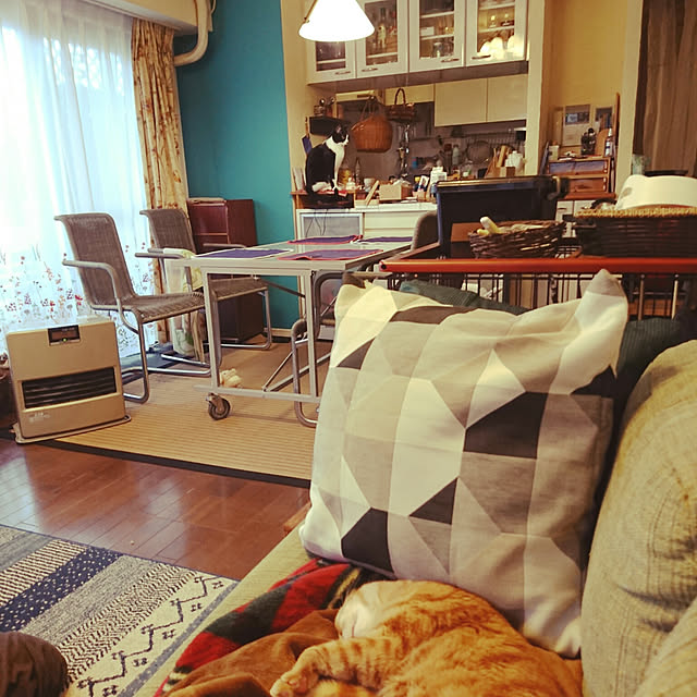 okyosan101さんの実例写真