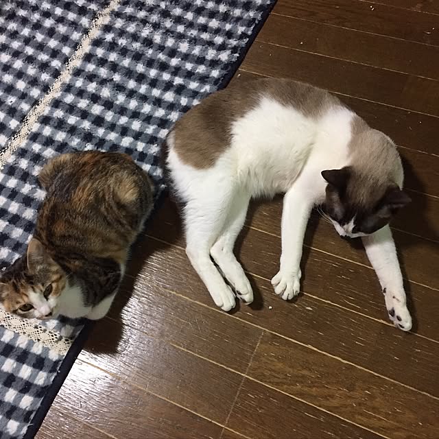 vivienne.coco-keiさんの実例写真