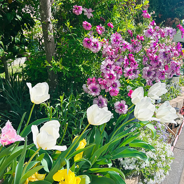 sunabaさんの部屋