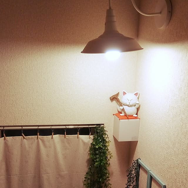 kazuさんの実例写真