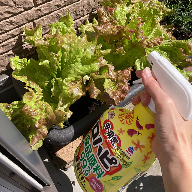 Omachanさんの実例写真