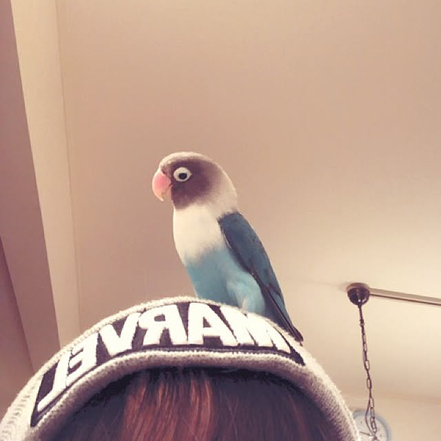 pikotan.pipi.skyさんの実例写真