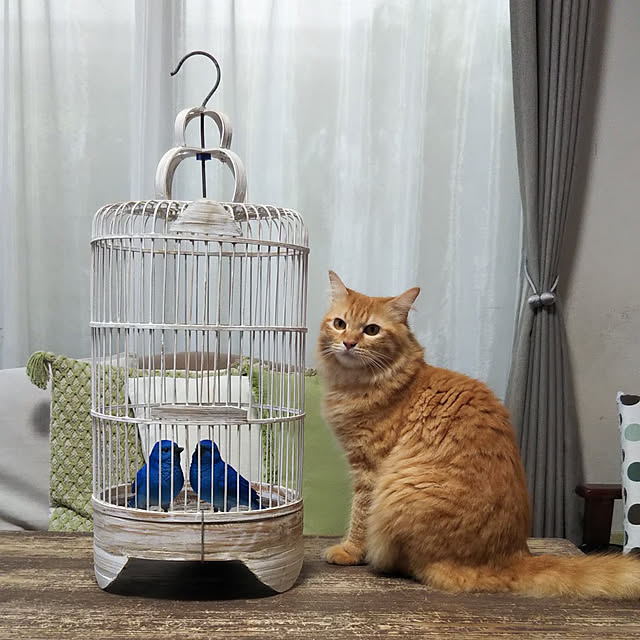 gabさんの実例写真
