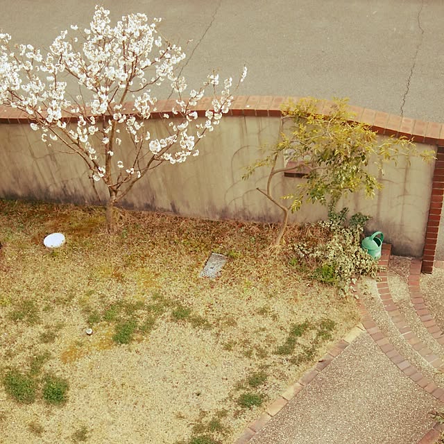 chamuさんの実例写真