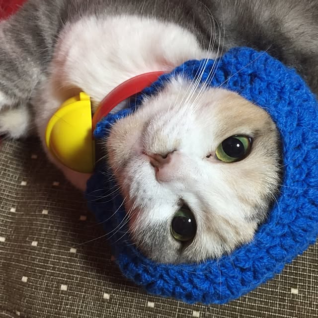 mtkさんの実例写真