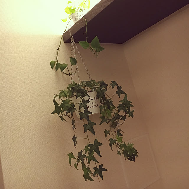 jillさんの実例写真