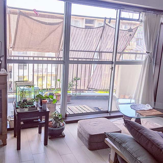mi-saさんの部屋