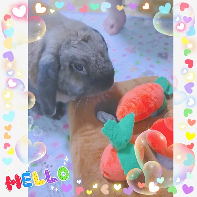 mariaさんの実例写真