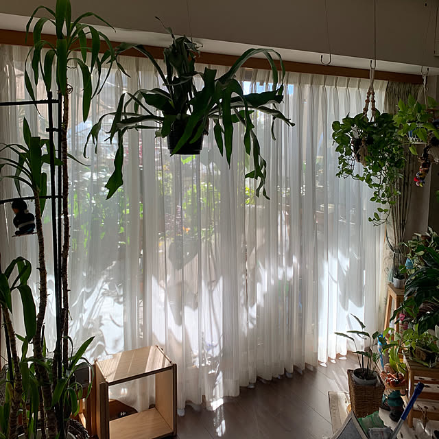 Aqettyさんの部屋