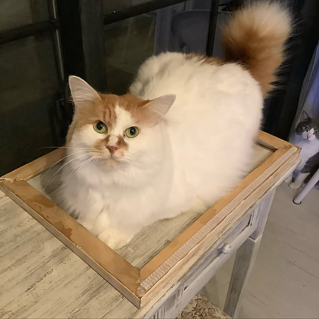mannersさんの実例写真