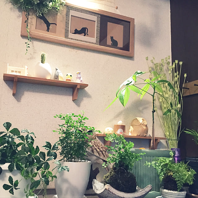 玄関/入り口のインテリア実例 - 2018-07-19 19:22:03
