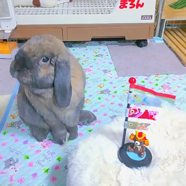 mariaさんの部屋