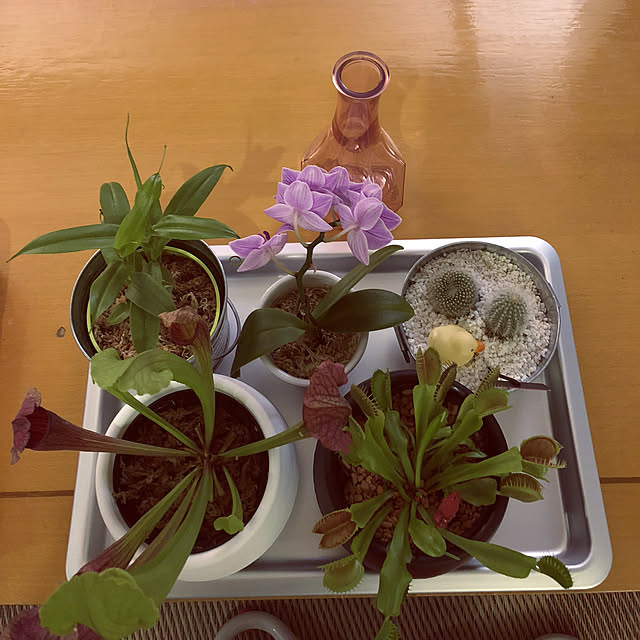 kanaさんの実例写真