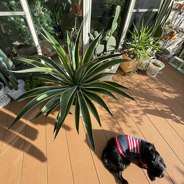 marinkoさんの部屋
