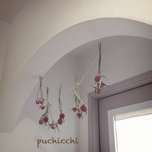 puchicchiさんの実例写真