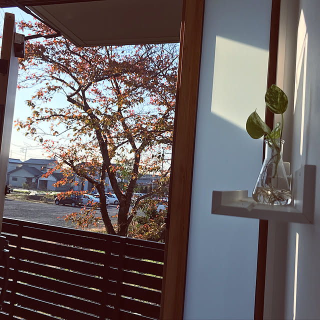 Eriさんの実例写真