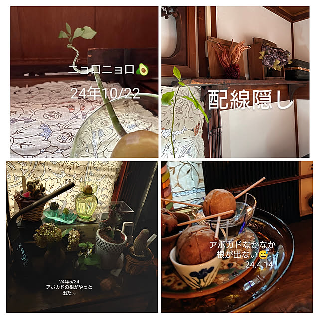 akaidarumaさんの部屋