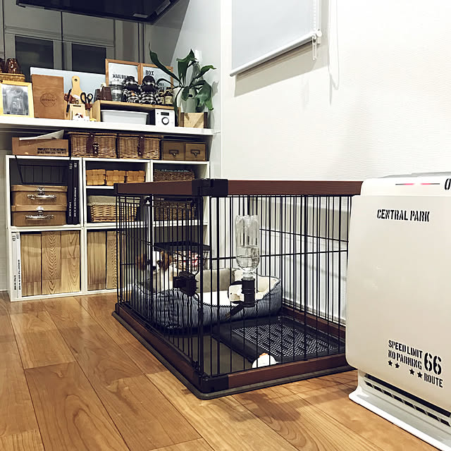 canmilmamaさんの実例写真