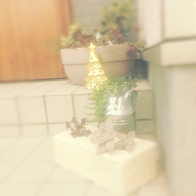 timoさんの実例写真