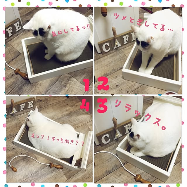 miさんの実例写真