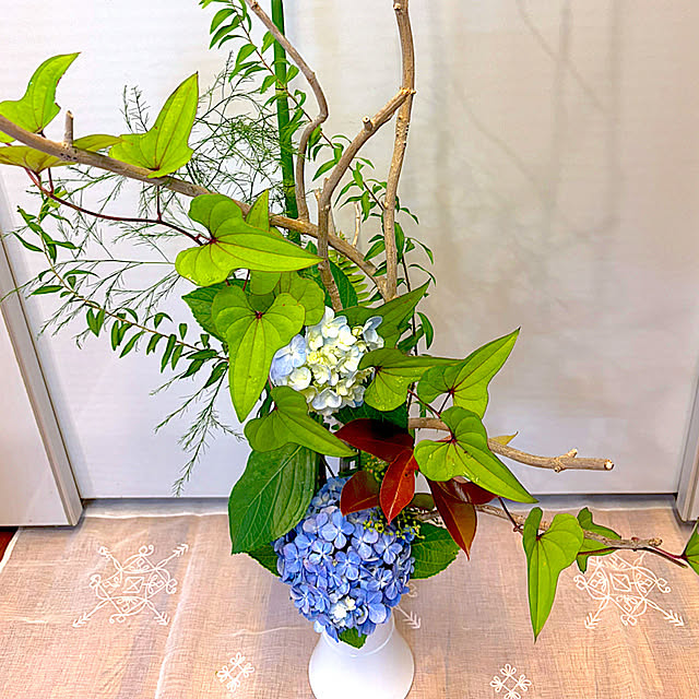 syutmmさんの部屋