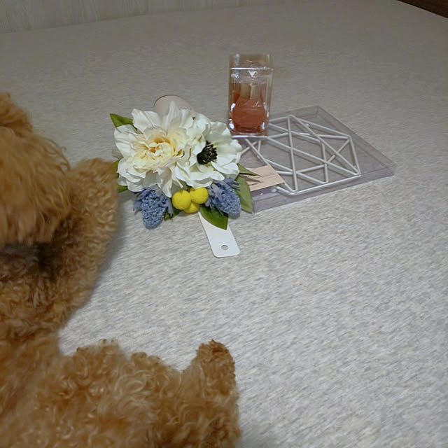 erisavesu4さんの実例写真