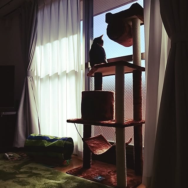 gruenさんの実例写真